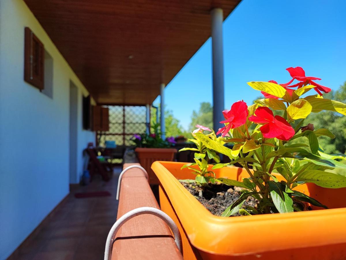 Apartman Dunav Aljmaš Zewnętrze zdjęcie